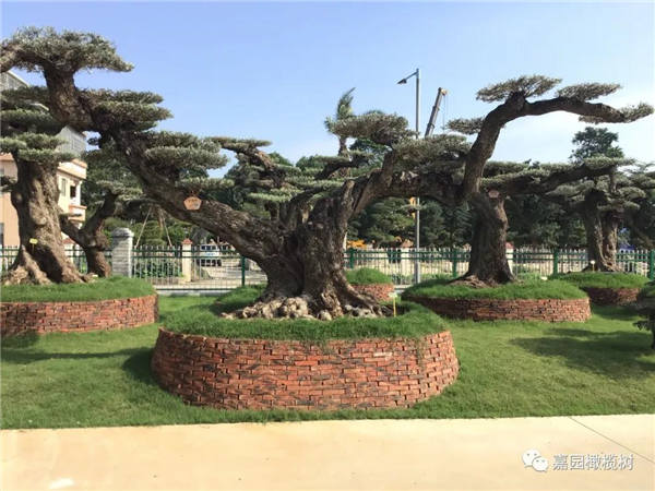 微信圖片_20201211100056.jpg 微信圖片_20201211100056.jpg