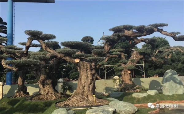 微信圖片_20201211100651.jpg 微信圖片_20201211100651.jpg