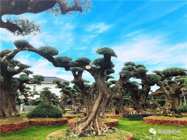 微信圖片_20201211100941.jpg 微信圖片_20201211100941.jpg