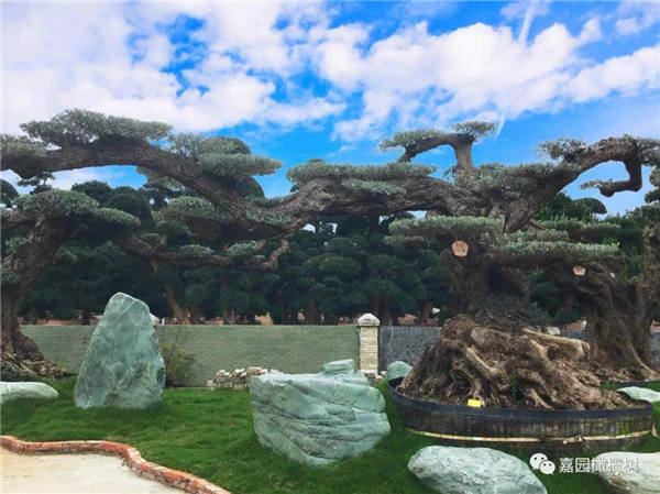 微信圖片_20201211101140.jpg 微信圖片_20201211101140.jpg