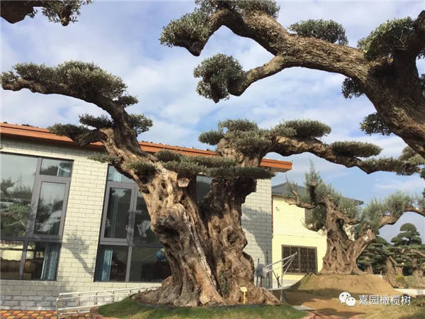 微信圖片_20201211101144.jpg 微信圖片_20201211101144.jpg