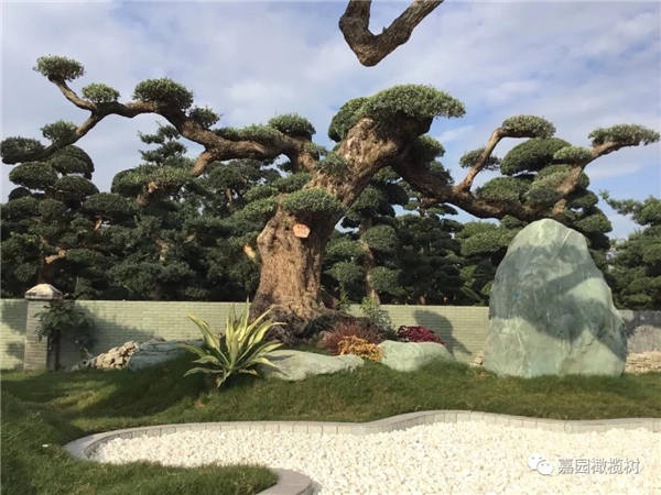 微信圖片_20201211101150.jpg 微信圖片_20201211101150.jpg