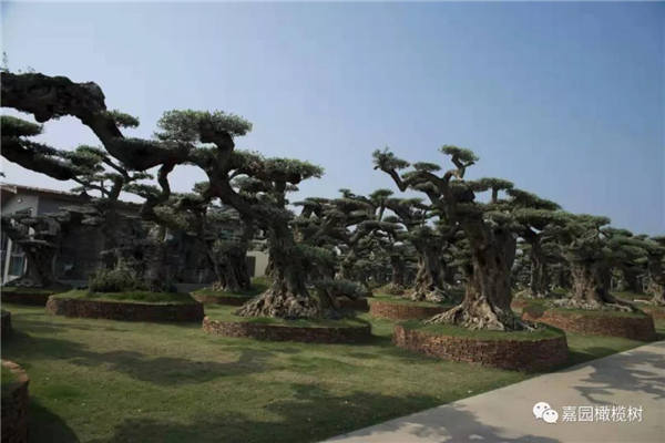 微信圖片_20201211101524.jpg 微信圖片_20201211101524.jpg