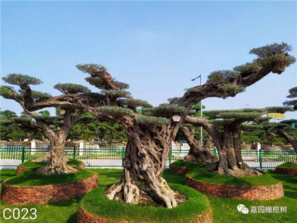 微信圖片_20201211101946.jpg 微信圖片_20201211101946.jpg