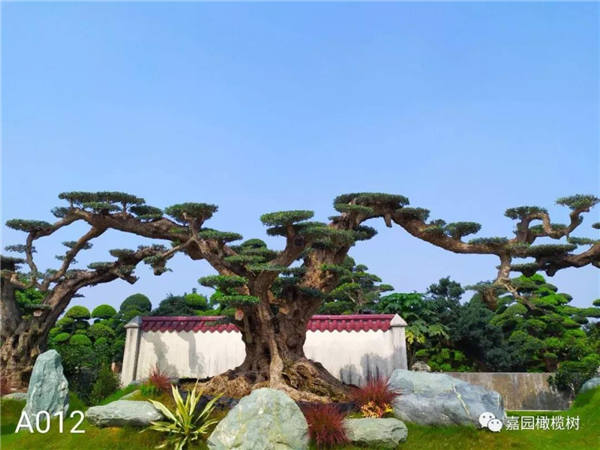 微信圖片_20201211102525.jpg 微信圖片_20201211102525.jpg