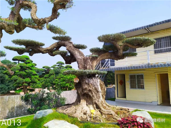 微信圖片_20201211103759.jpg 微信圖片_20201211103759.jpg