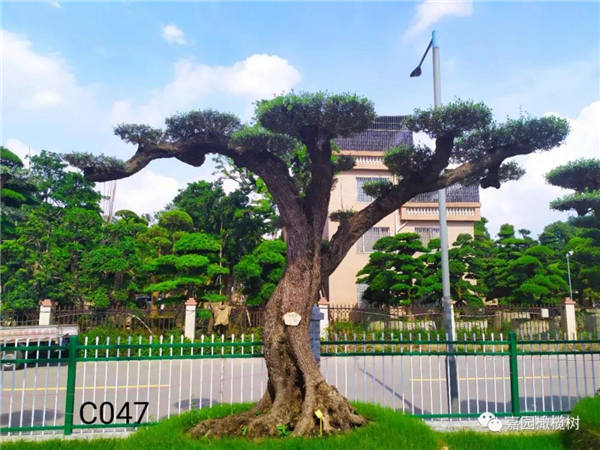 微信圖片_20201211103814.jpg 微信圖片_20201211103814.jpg