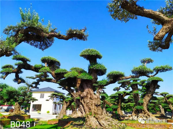 微信圖片_20201211104206.jpg 微信圖片_20201211104206.jpg