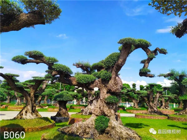 微信圖片_20201211104504.jpg 微信圖片_20201211104504.jpg